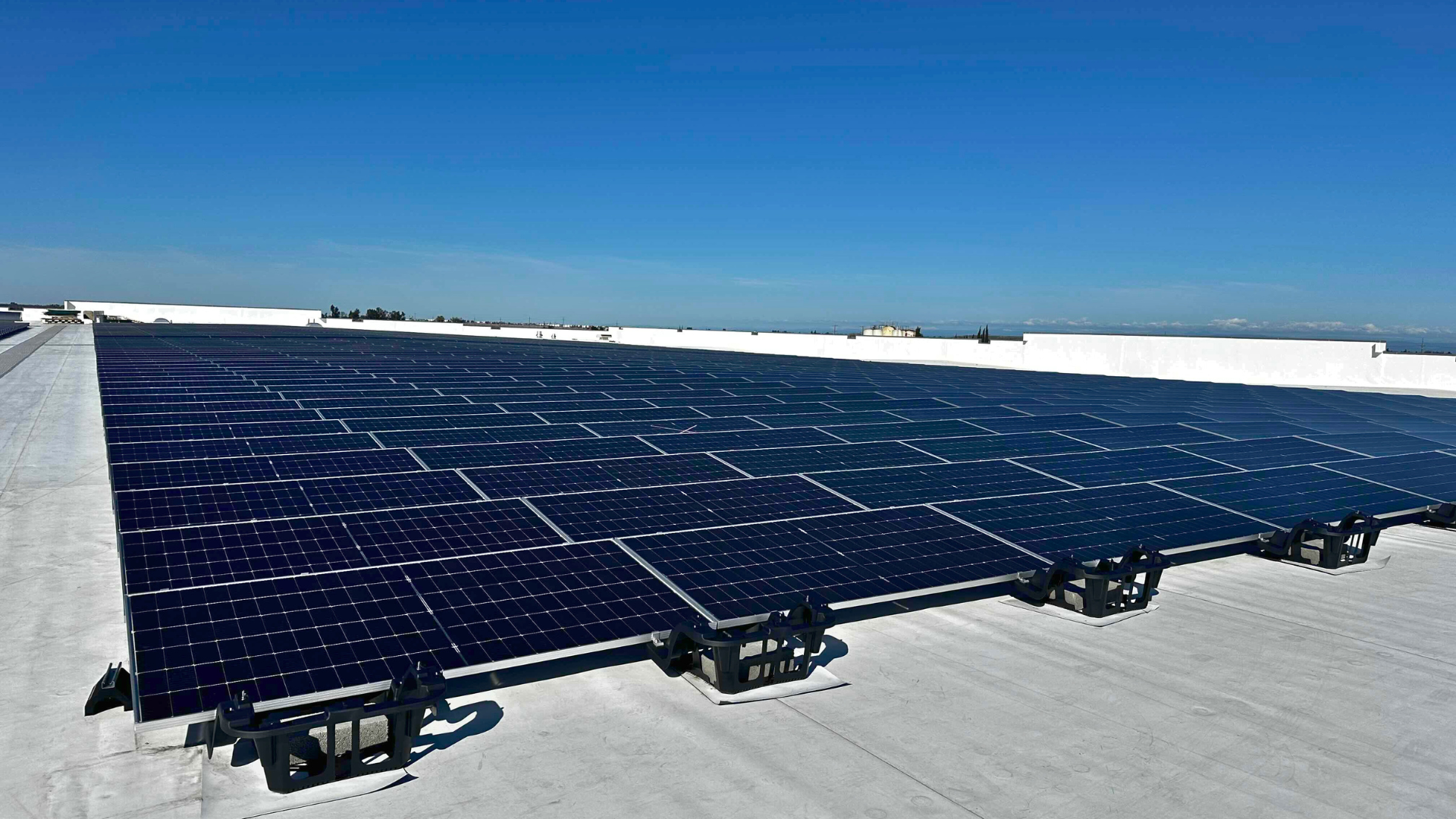 rooftop shot of solar panels
